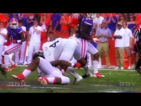 Florida Gators - FNB