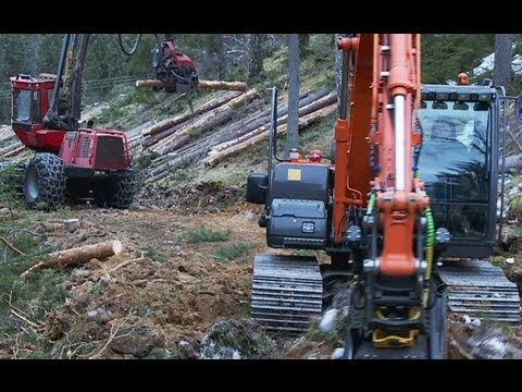 Forestry on steep slope