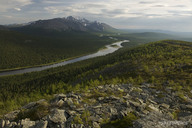 The Republic of Komi is also a place of the Virgin Forests of Komi - one of the last area of untouched borreal forests in the world, listed in UNESCO World Heritage.