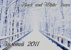 Black and White Days -  (2011)