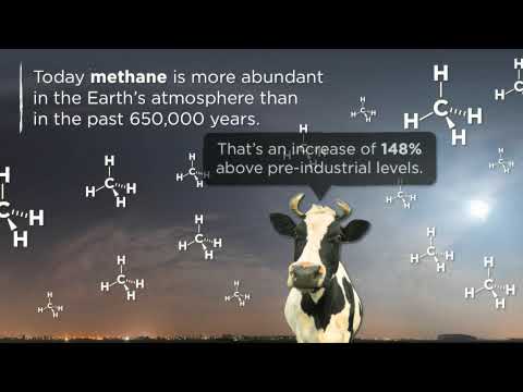 The Carbon Economy | By The Economist & XPLANE