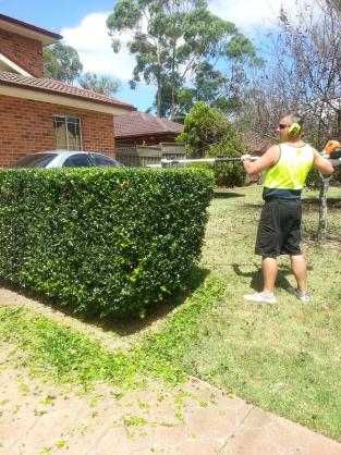 Hot Tradies by Matty's Complete Lawn & Gardening Service