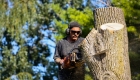 How Much Does an Arborist Cost?