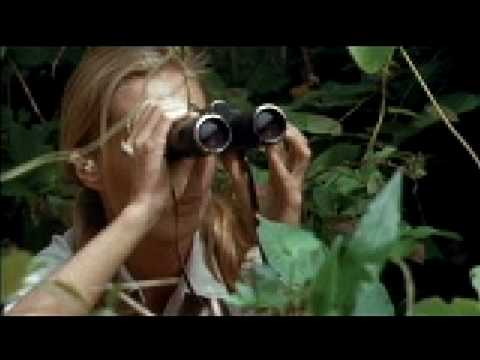 Dr. Jane Goodall: Primatology & The Leakey Foundation