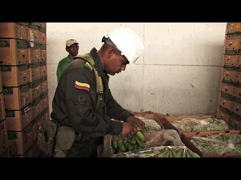 Inside a Colombian Drug Bust