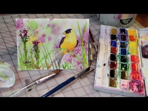 how to draw and paint goldfinch watercolor