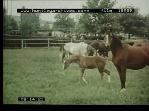 Film Promoting Tourism to Russia (or Soviet Union), 1970's -- Film 18989