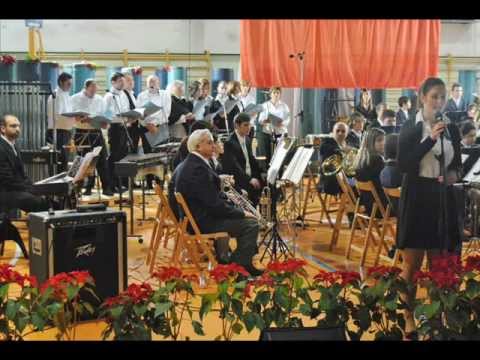 Concerto Grosso by New Trolls-C. M. Gaetano Donizetti-Bagnatica.wmv