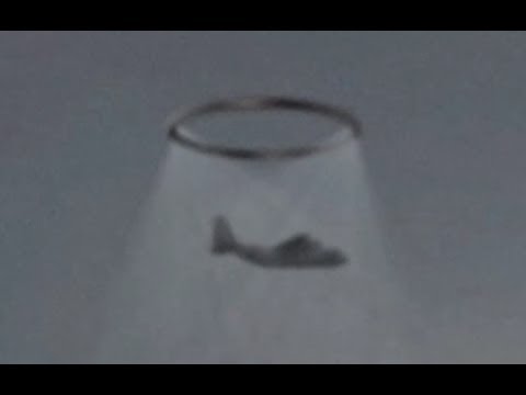 Breaking News UFO Sightings Bermuda Triangle Area