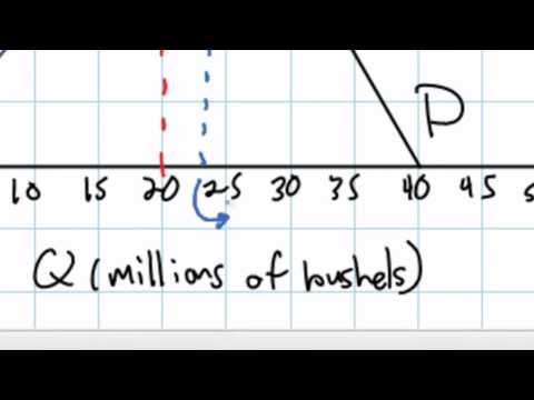 Calculating the Effects of a Subsidy using Linear Equations.