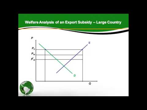 Export Subsidy in a Large Country