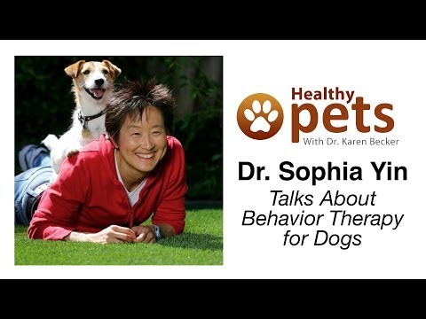 Dr. Becker Interviews Dr. Yin About Behavior Therapy for Dogs