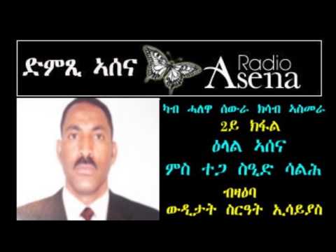 Voice of Assenna: Interview with Mr Said Saleh Regarding PFDJ Conspiracies Part 2