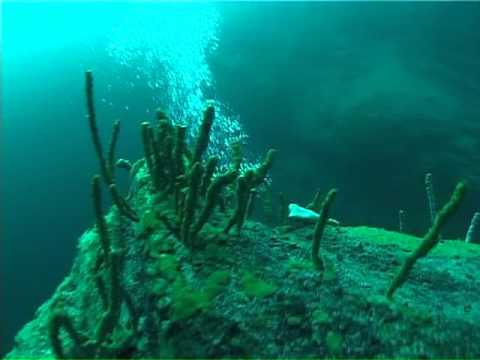 Underwater world of Baikal