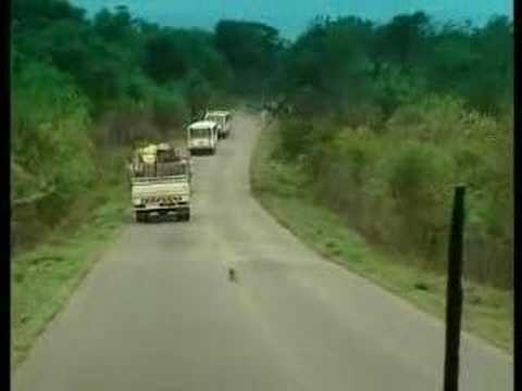 Long Road Home - Mozambique