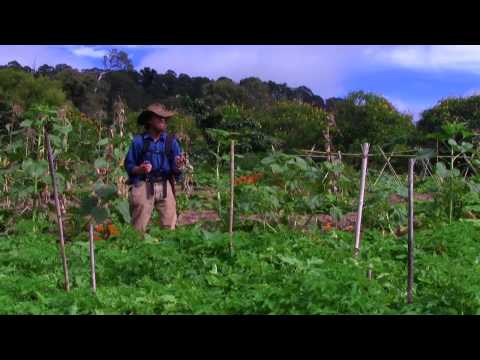 #15 What if we change - Perennial Paradise - Zaytuna Farm