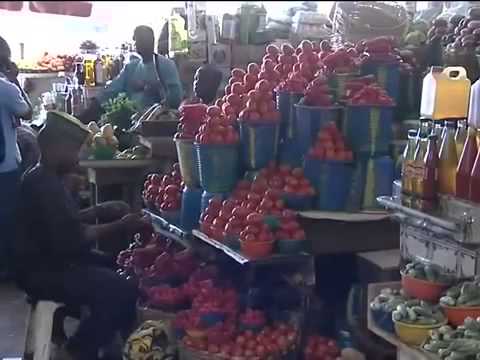 Growth Potential for Small Businesses in Nigeria   Part 1