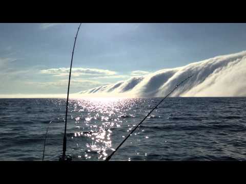 Huge Fog Bank Rolling in over Lake Michigan