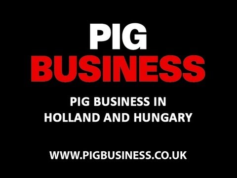 Pig Business in Holland and Hungary (Hungarian Subtitles)