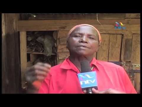 Nyeri farmer making money from guinea pigs