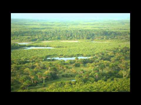 Beautiful Guinea-Bissau Landscape - hotels accommodation yacht charter guide