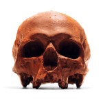 A Delicious Life-Size Chocolate Replica of a Human Skull