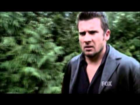 dominic purcell - john doe - conebreeder - idm music