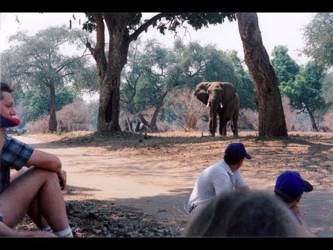 Mana Pools National Park, Zimbabwe. (A world Heritage Site) Travel guide.