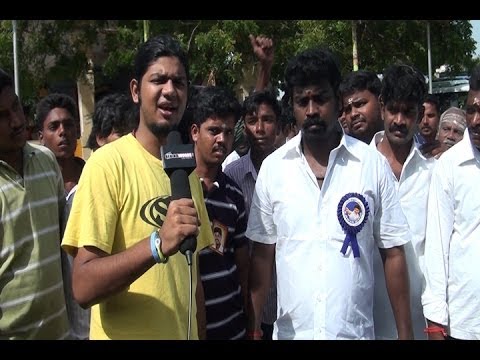 Fans celebrate Vijay's birthday | Ilayathalapathy Vijay - BW