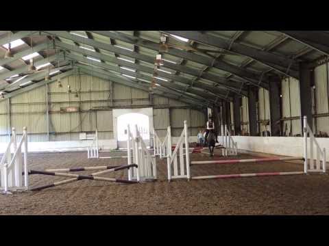 Trent Park Equestrian Center: starter's stakes 50-60cm