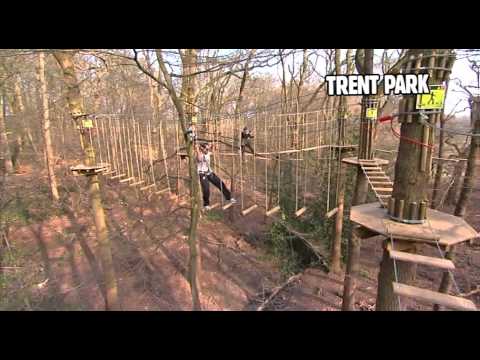 Go Ape Trent Park