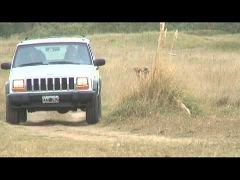 Victoria Off Road - 4x4 Travel Guide & Solutions - Argentina & Chile Driving