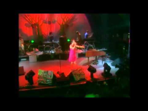 Bjork - Shepherds Bush Empire