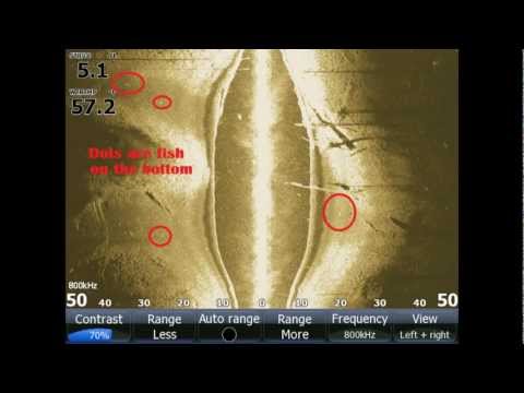 Side Imaging and Down Scan Structure Scan Sonar: How to set it up and how to read your graph