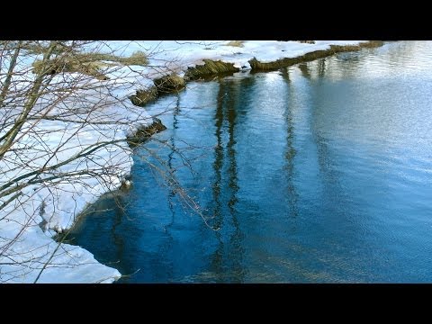 Winter Walk January 2014