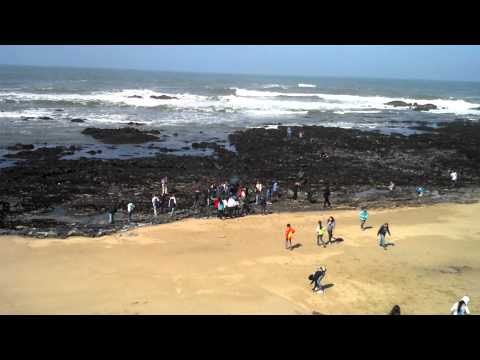 Science Camp Tidepools