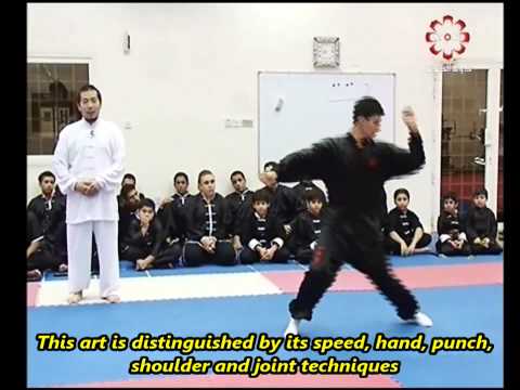 Part 4: Baiji Quan Taolu - Kuwait Sports Channel Martial Arts Special w/ Sifu Khader Deng