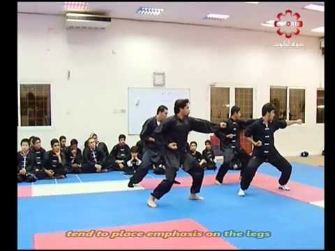 Part 7: Tan Tui #2 - Kuwait Sports Channel Martial Arts Special w/ Sifu Khader Deng