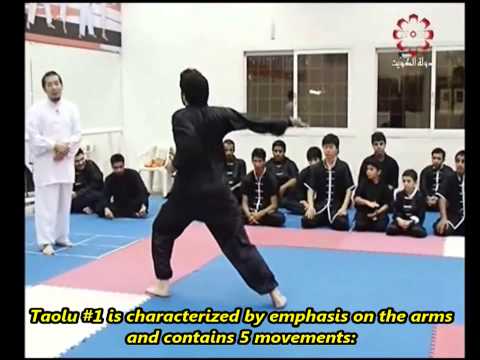 Part 2: Taolu 1 & Short Taolu Forms - Kuwait Sports Channel Martial Arts Special w/ Sifu Khader Deng