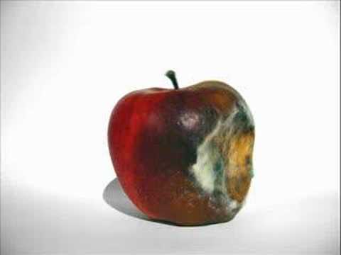 Rotting Apple (Mould)