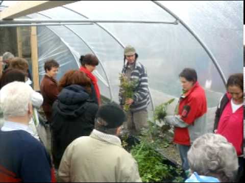 Healthy Gardening in Donegal