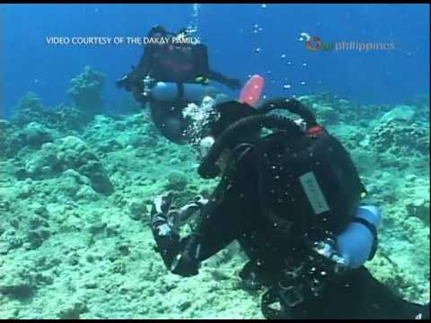 Philippine Travel Guide : Spratly Islands -- Every Diver's Paradise