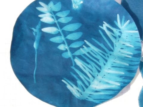 Cyanotypie (Cyanotype)