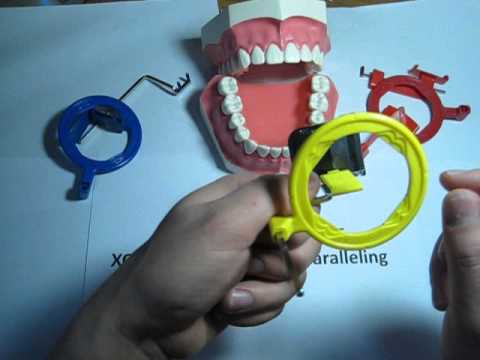 How to use a Posterior (yellow) XCP dental film / PSP holder