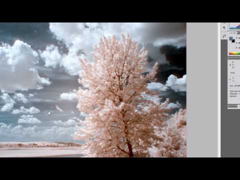 Infrared Photography, Part 2 - Photography with Imre - Episode 24