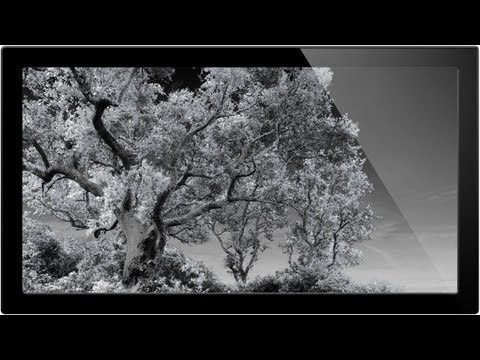 How To Convert Images To Infrared - Infrared Photography