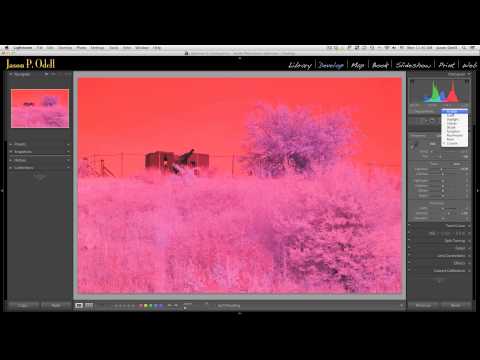 Setting White Balance on Infrared Images with Lightroom