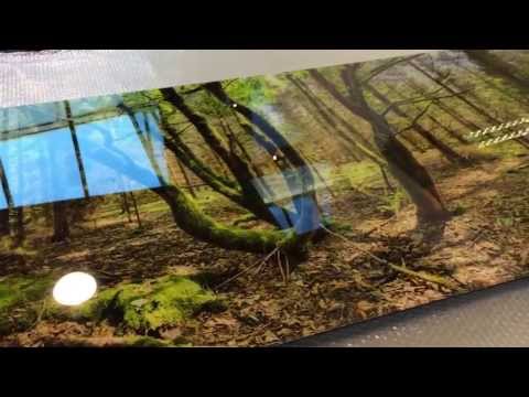 360° panoramic forest photo mounted on acrylic