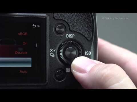 How to Turn On Red Eye Reduction on your Sony® Interchangeable Lens Digital Camera