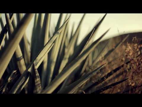 How It's Made - Tequila Arette